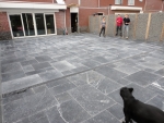 View the album Terras graniet wildverband